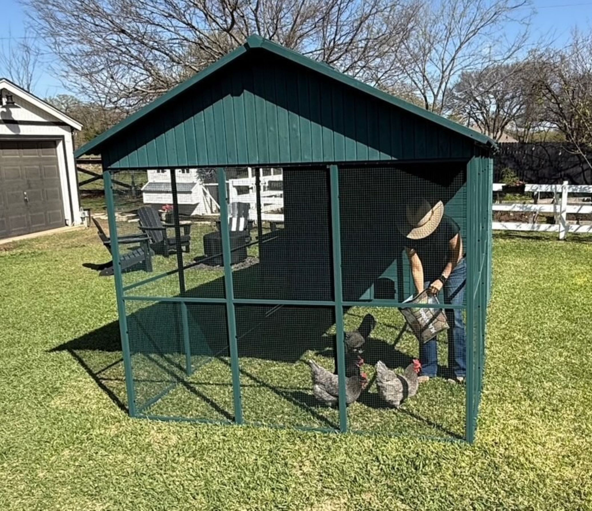 Zylina Modern guard Xl Metal Framed Chicken Coop | Wayfair